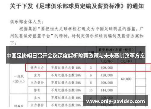 中国足协明日召开会议深度解析降薪政策与未来赛制改革方案