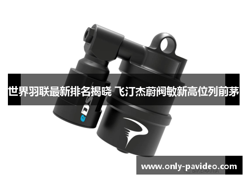 世界羽联最新排名揭晓 飞汀杰蔚阀敏新高位列前茅