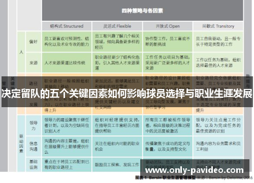 决定留队的五个关键因素如何影响球员选择与职业生涯发展