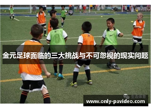 金元足球面临的三大挑战与不可忽视的现实问题