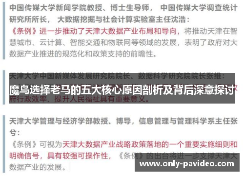 魔鸟选择老马的五大核心原因剖析及背后深意探讨