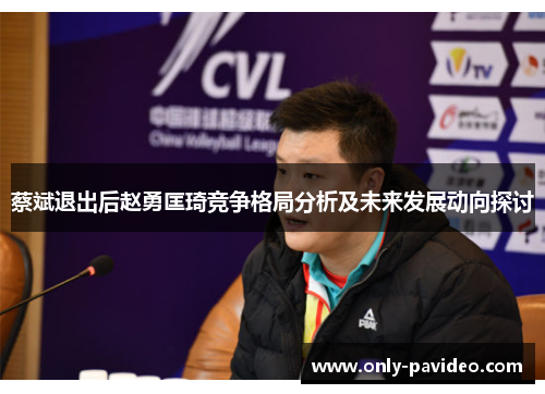 蔡斌退出后赵勇匡琦竞争格局分析及未来发展动向探讨